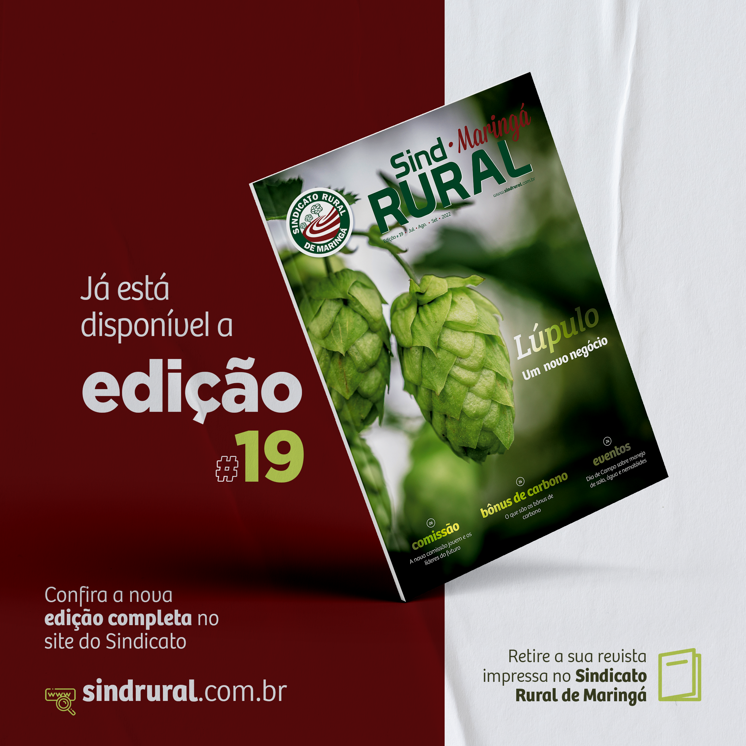 Revista Sindrural #Edição 19