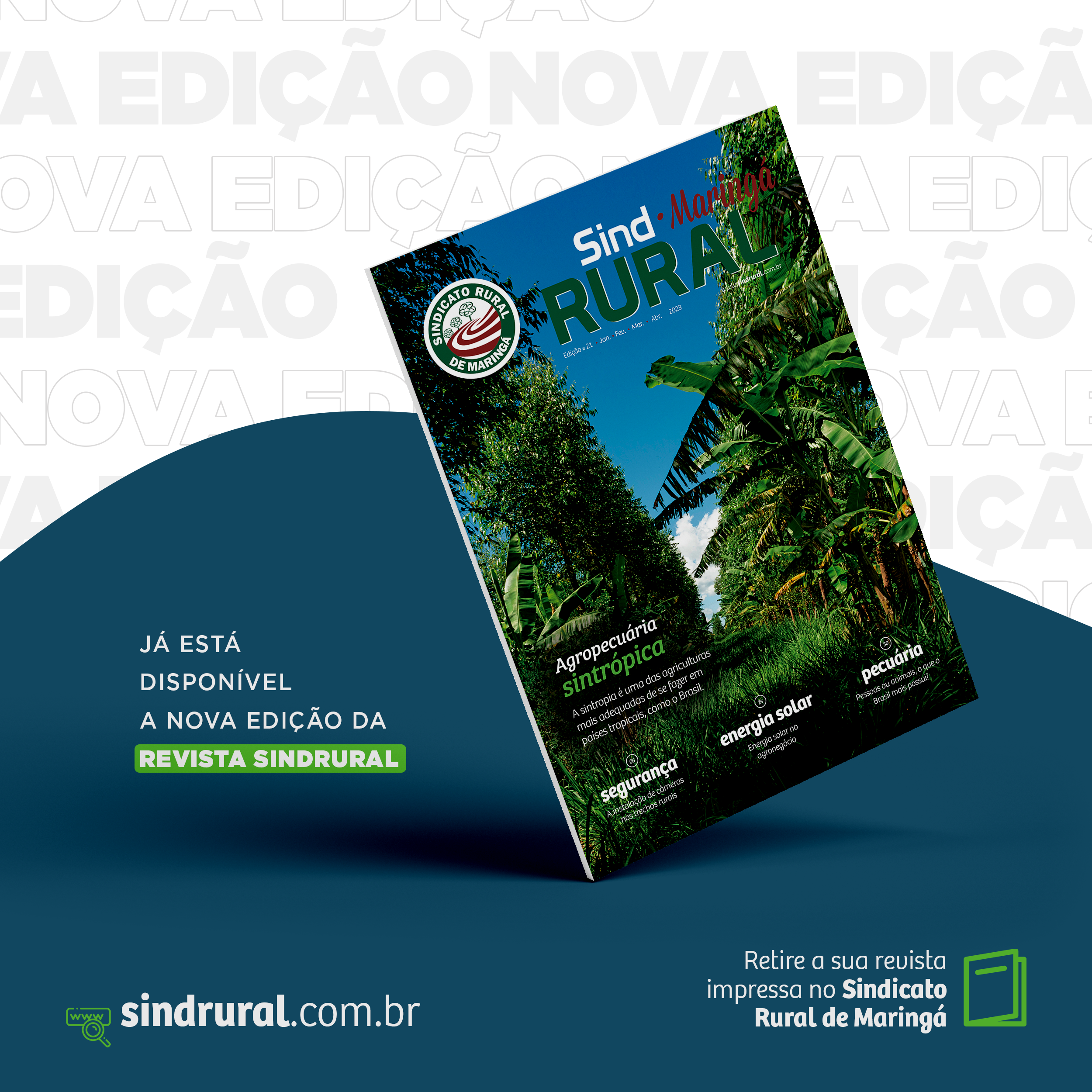 Revista Sindrural #Edição 21